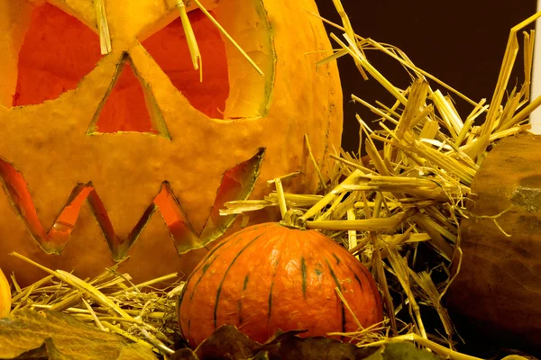 Scary  halloween pumpkins,close up — Stock Photo, Image