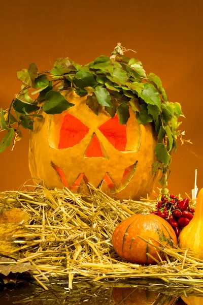 Zucche di Halloween — Foto Stock