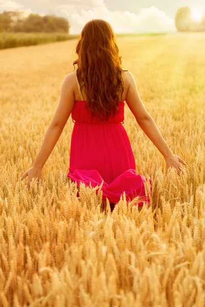 Young beautiful woman in field of wheat — Stock Photo, Image