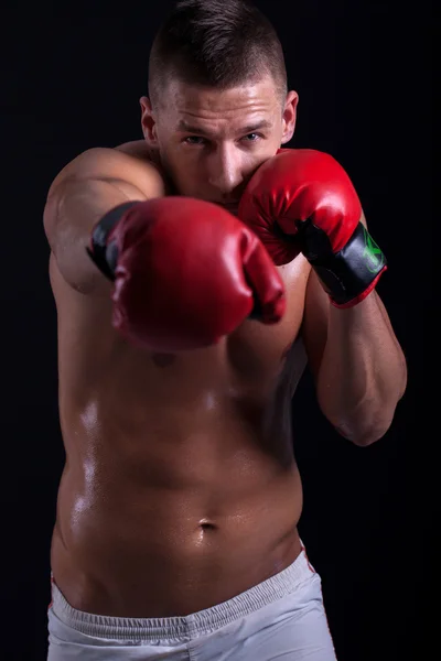 Boxer muscular com luvas vermelhas — Fotografia de Stock