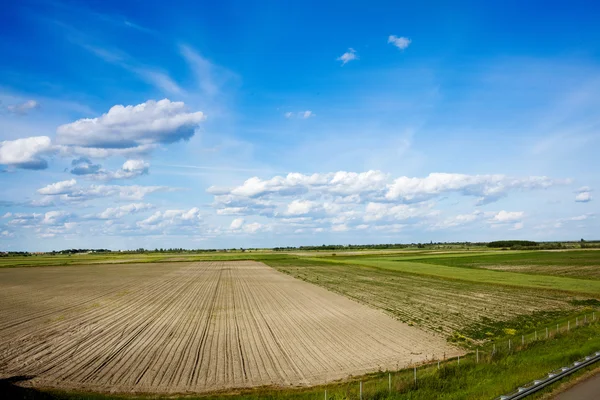 Omgeploegde veld en de blauwe hemel — Stockfoto
