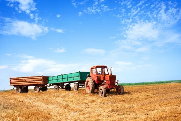Trator vermelho velho e reboques durante a colheita de trigo em somatório nublado — Fotografia de Stock