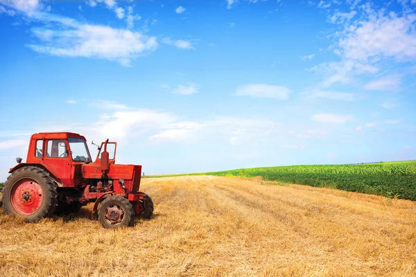 Старый красный трактор во время сбора урожая пшеницы в облачный летний день — стоковое фото