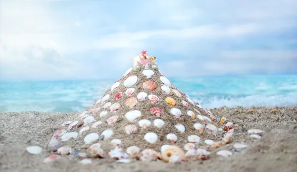 Seashells on the beach — Stock Photo, Image