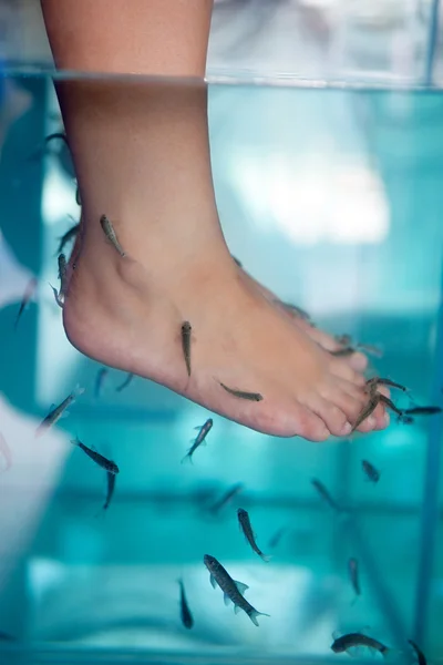Rybí pedikúra masáže lázeňství. Detailní záběr na nohy a ryb v — Stock fotografie
