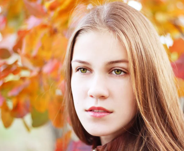 Portrait of a girl — Stock Photo, Image