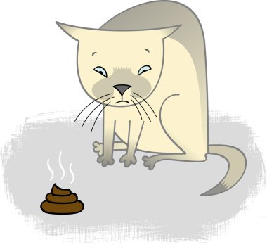 suçlu kedi