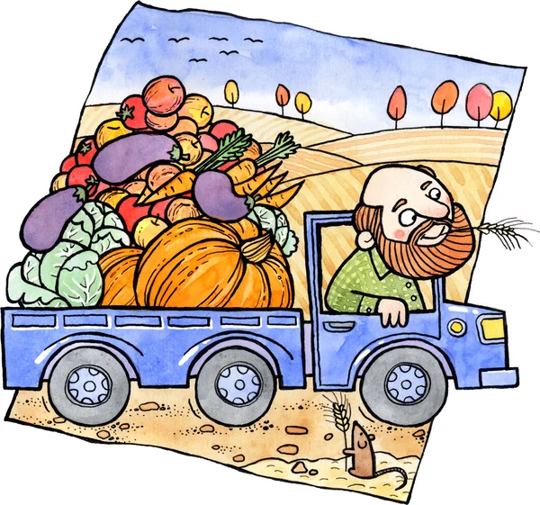 Harvest — Stock Photo, Image