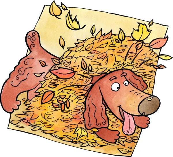 Собака играет в куче листьев — стоковое фото