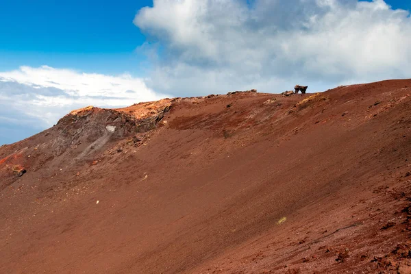 Krater wulkanu Eldfell. Wyspa Heimaey, Vestmannaeyjar, Islandia. — Zdjęcie stockowe