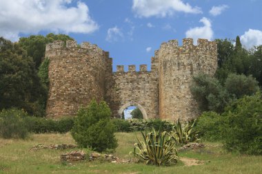 Castle of Vila Vicosa clipart