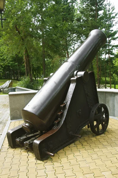 Old cannon — Stock Photo, Image