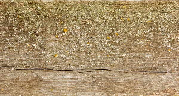 Struttura in legno di abete naturale — Foto Stock