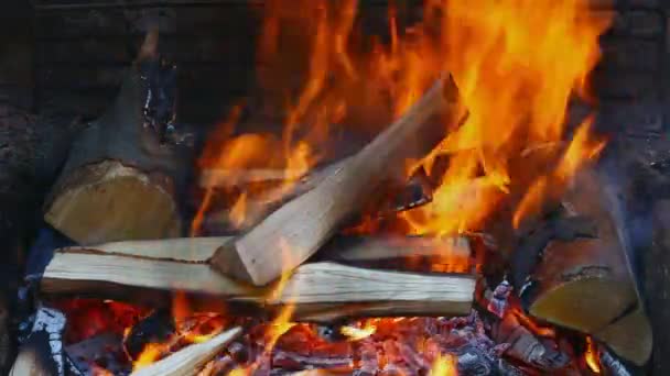 Burning wood — Stock Video