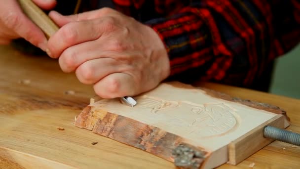 Tallado en madera — Vídeos de Stock