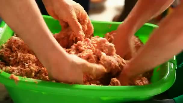 Minced meat mixing — Stock Video