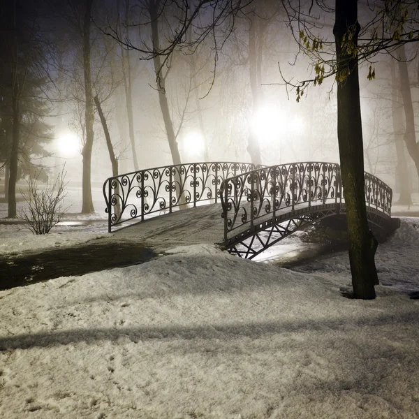 Parque puente en invierno —  Fotos de Stock