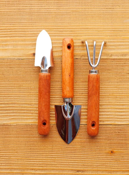 Gardening tools on wooden background — Stock Photo, Image