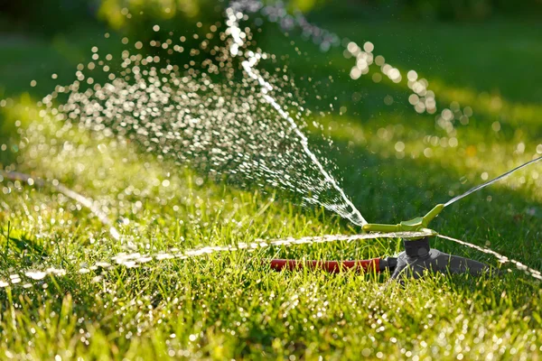 Irrigatie van groen gras — Stockfoto
