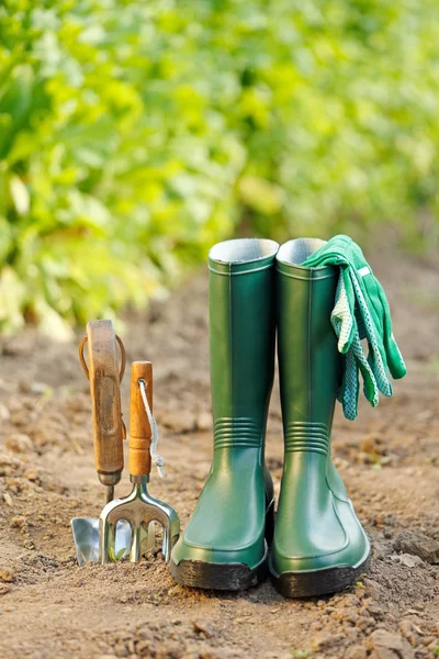 Outils et équipements de jardinage — Photo