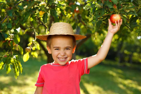 Smiling boy with apple — Stock Photo, Image