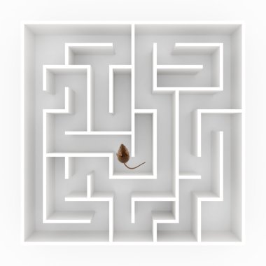 Mouse Maze