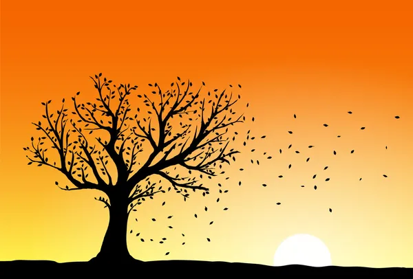 Silhouette d'arbre d'automne — Image vectorielle