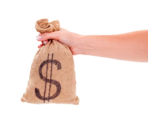 Wealth in bag — Stock Photo, Image