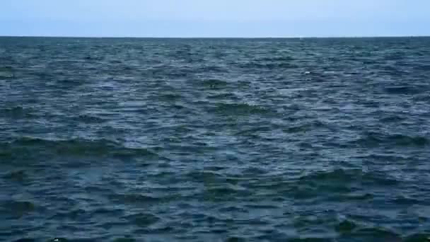 Sea water surface — Stock Video