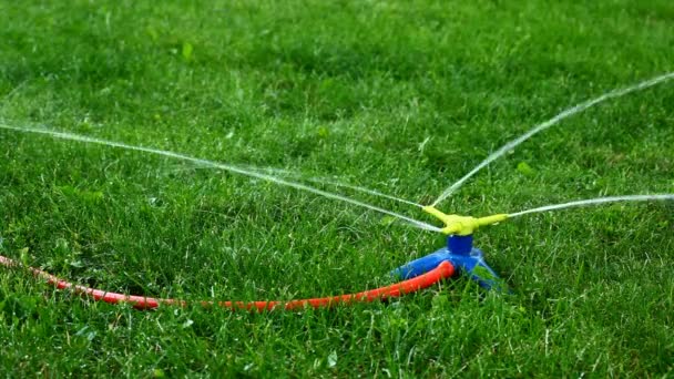 Three-way sprinkler in garden — Stock Video