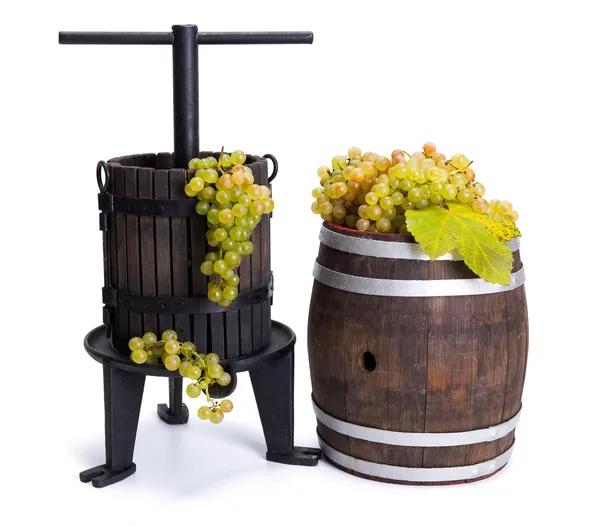 Grape pressing utensil and barrel with white grapes — Stock Photo, Image