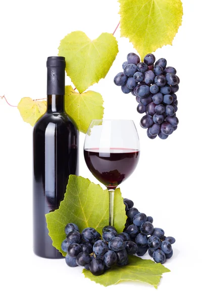 Bottle and glass of red wine whit grape clusters Stock Photo