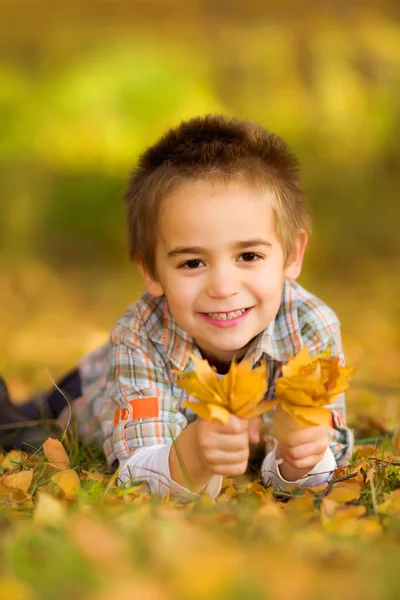 Glad liten pojke plocka blad — Stockfoto