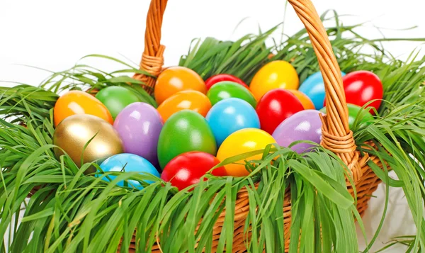 Colorful easter eggs in basket — Stock Photo, Image