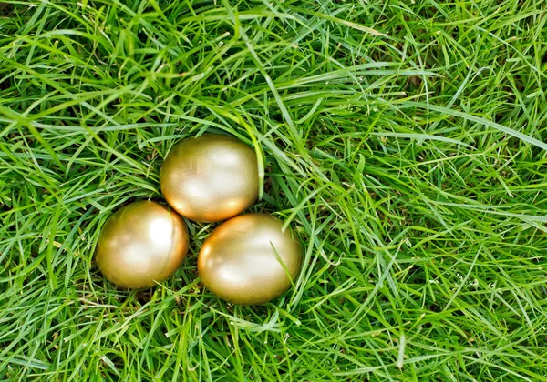 Gouden Pasen eieren op het groene gras — Stockfoto