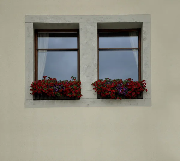 Une fenêtre moderne décorée de belles fleurs — Photo