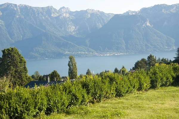 Huizen met een uitzicht op het meer van Genève — Stockfoto