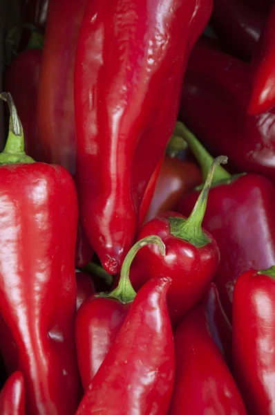 Red Chillies — Stock Photo, Image