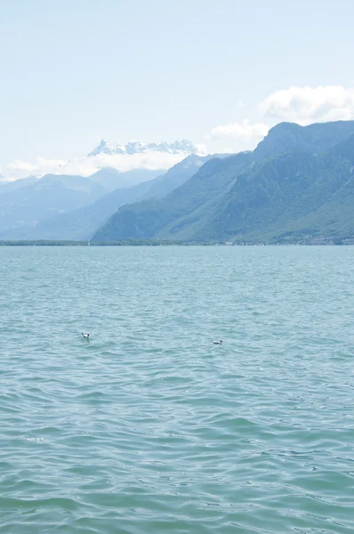 Ženevské jezero v létě — Stock fotografie