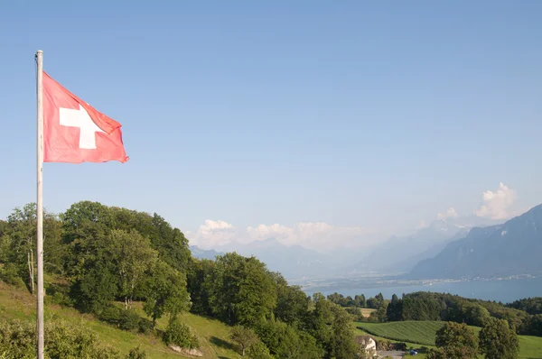 De vlag van de Zwitserse — Stockfoto