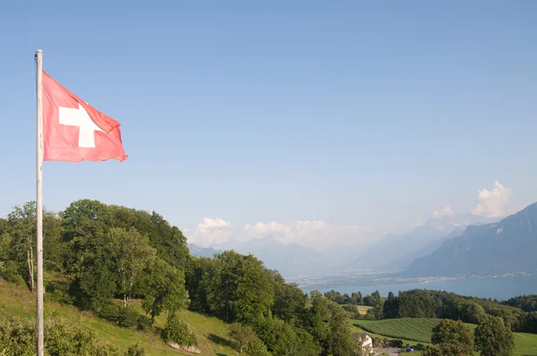 Schweiz flagga — Stockfoto