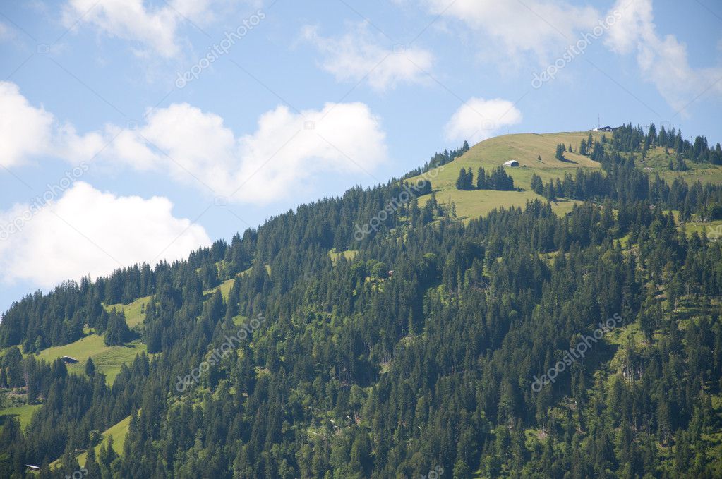 View of a Hill in Switzerland