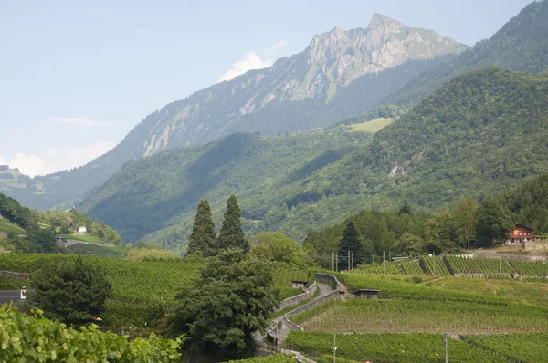 Eine schöne Schweizer Landschaft — Stockfoto