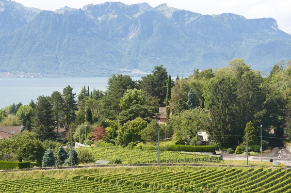 Une voie ferrée en Suisse — Photo