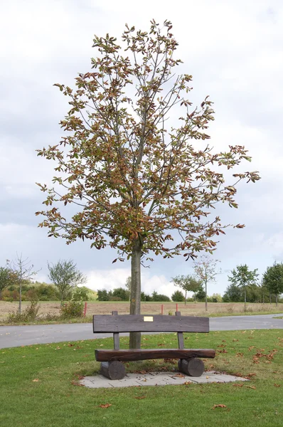 Un banco de madera en un campo de golf en otoño, Alemania — Foto de Stock