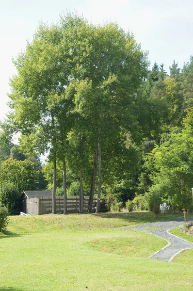 Almanya'da bir parkta bir yol