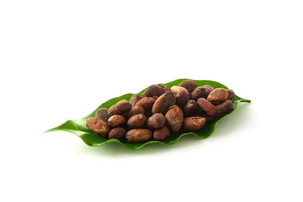 Fagioli Cacao Essiccati Congedo Cacao Uno Sfondo Bianco Con Spazio — Foto Stock
