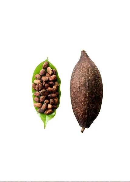 Kakaobønner Kakaoblade Kakaobælg Hvid Baggrund Med Tomt Rum Klippesti - Stock-foto
