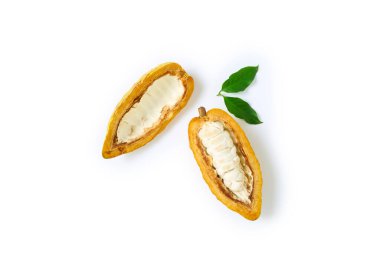 Üst manzara taze kakao meyveleri yarı dilimlenmiş ve yeşil yapraklı beyaz arka planda izole edilmiş.