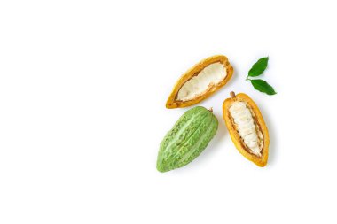 Üst manzara taze kakao meyveleri yarı dilimlenmiş ve yeşil yapraklı beyaz arka planda izole edilmiş.